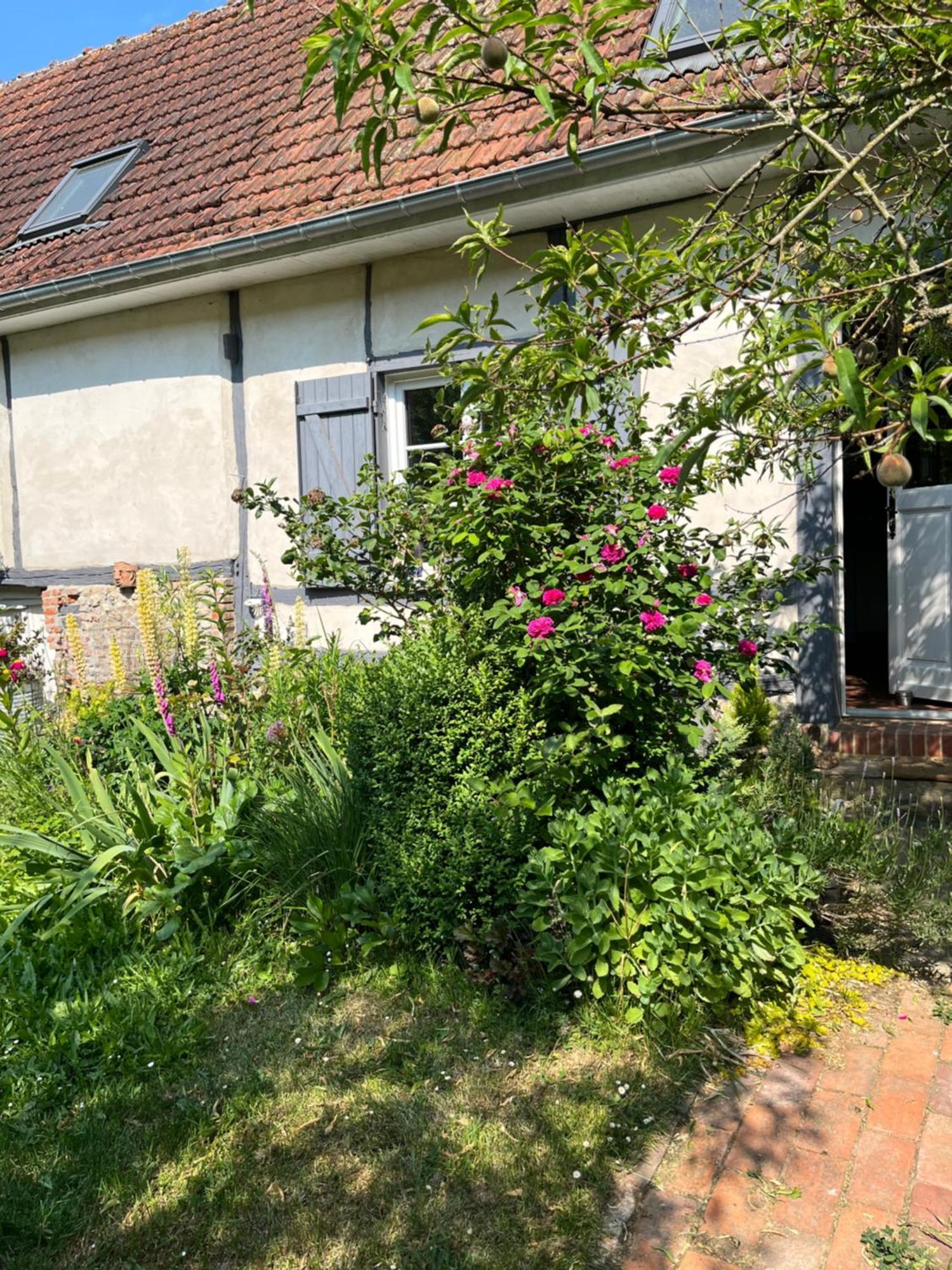 Chambre Cosy Bonnieres Exterior foto